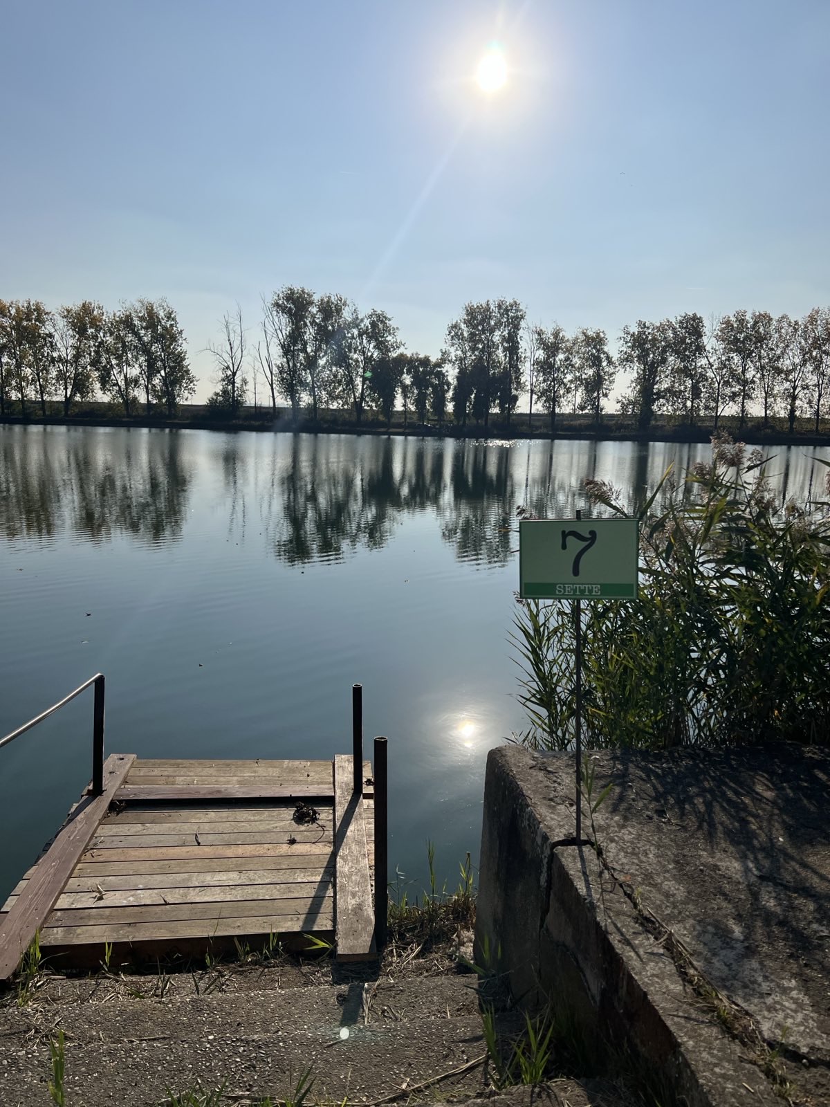 signal 2025 11 14 183601 014