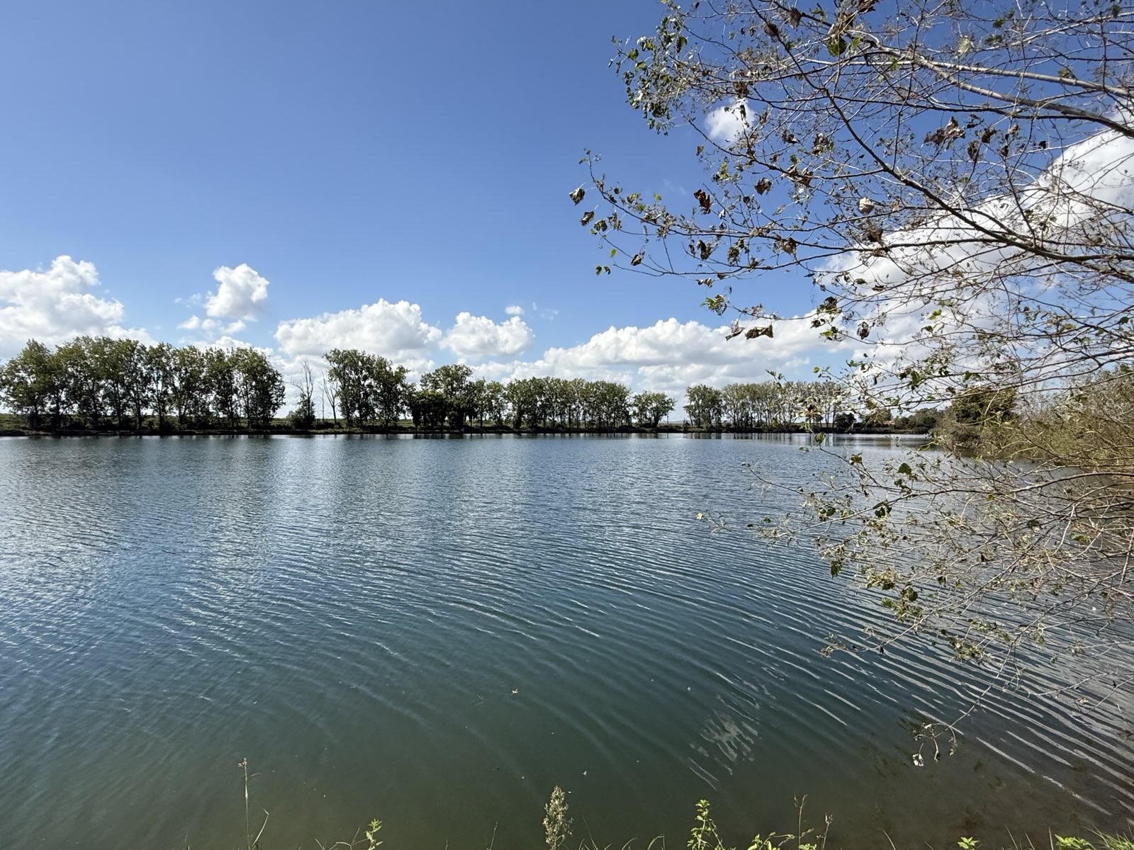 signal 2025 11 14 183640 017